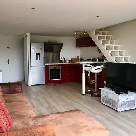 Duplex Climatise Avec Acces Direct A La Mer Apartman
